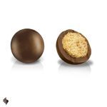 Σοκολατένιες Ελίτσες Μπισκότο Δημητριακών Γάλακτος